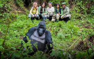 Gorilla Trekking Rules in Rwanda