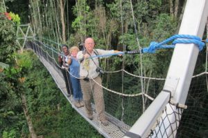 Best time to visit Nyungwe Forest National Park