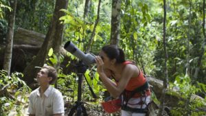 Birding in Nyugwe Forest National Park