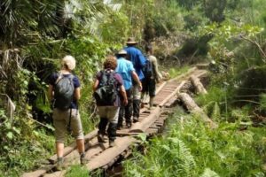 Nyungwe Hiking Trails